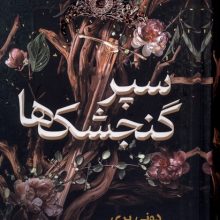 سپر گنجشک(نون)