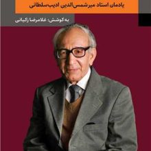 فرزانه خلوت گزین(نگاه)